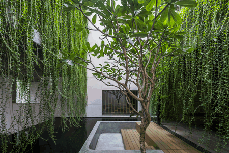 Villa Tan Dinh
